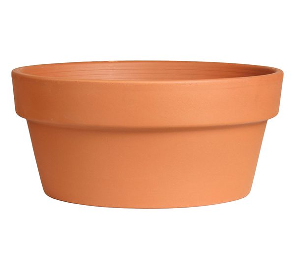 Terra Cotta Bulb Pottery Photo 1