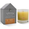 TRAPP® No. 4 Orange Vanilla Candle Photo 1