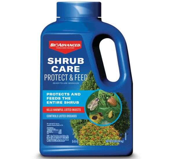 BioAdvanced® Shrub Care Protect and Feed