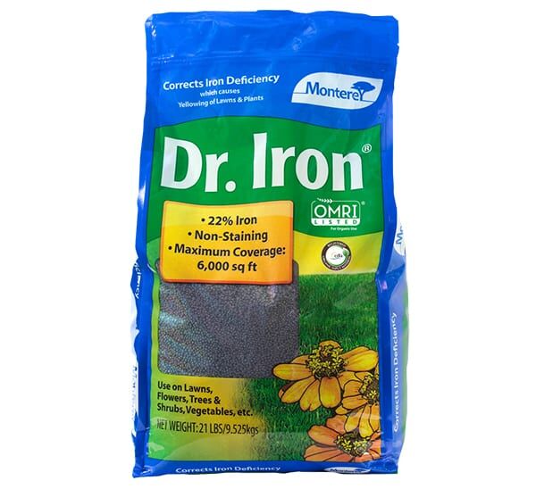 dr iron 21lb