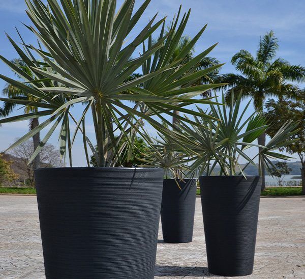 Linea Conic Planter