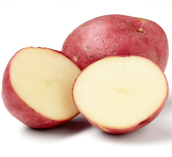 red pontiac seed potatoes