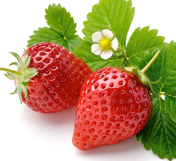 Fresh Strawberries on white background