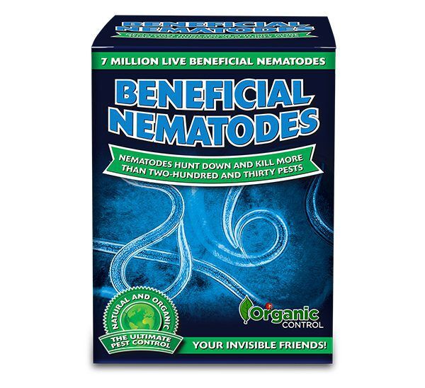 Organic Control Inc Beneficial Nematodes