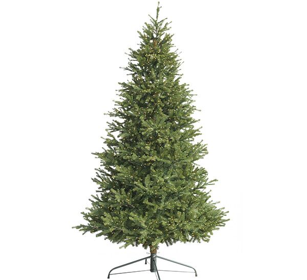 Carolina Fraser Fir 9' Clear Lights