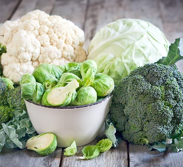 Early Season Starter Kit with Broccoli, Lettuce, and more!