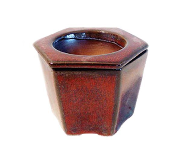 Self Watering Pot