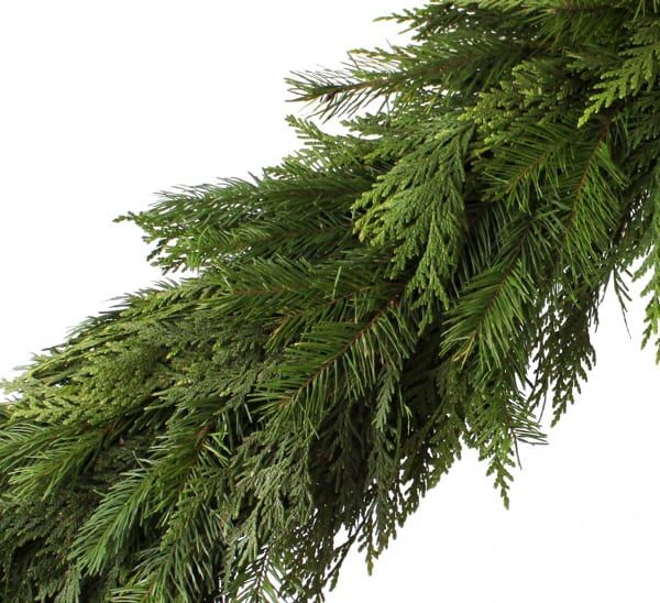 cedar douglas fir garland