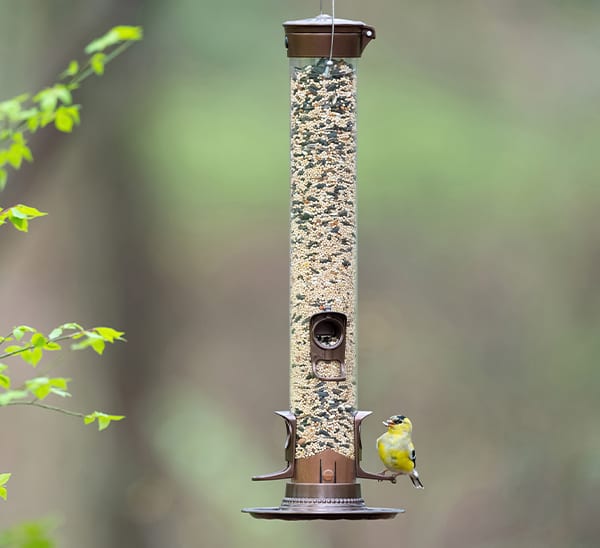 Stokes Select Easy Fill Metal Mixed Seed Bird Feeder 2nd