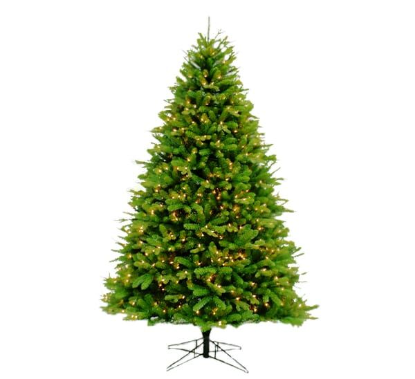 Canadian Balsam Fir 12 ' Clear Lights Life-Like Christmas Tree