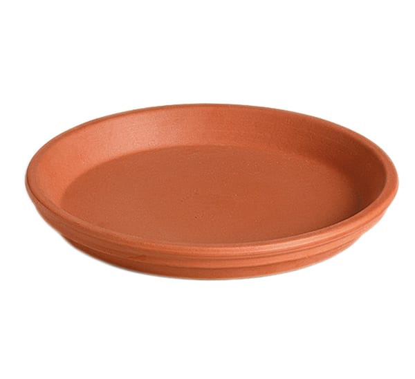 terra cotta saucer assorted