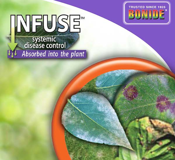 Bonide® Infuse Concentrate