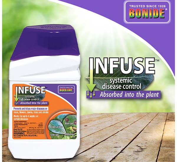 Bonide® Infuse Concentrate