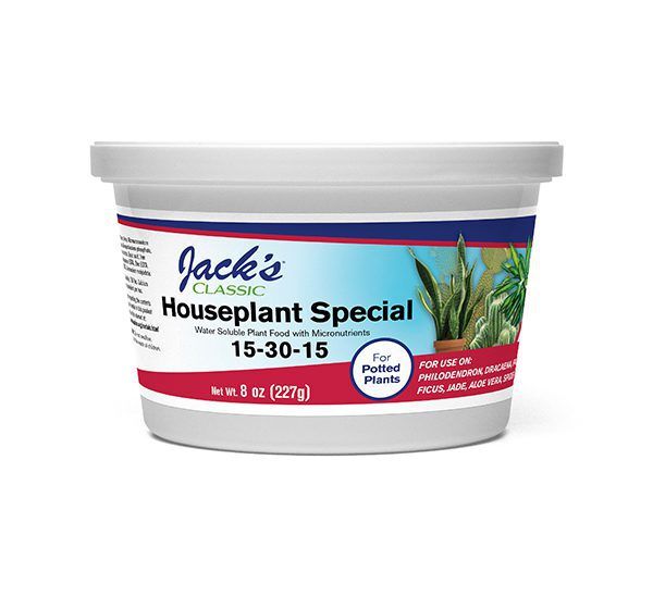 Jack’s Classic Houseplant Special