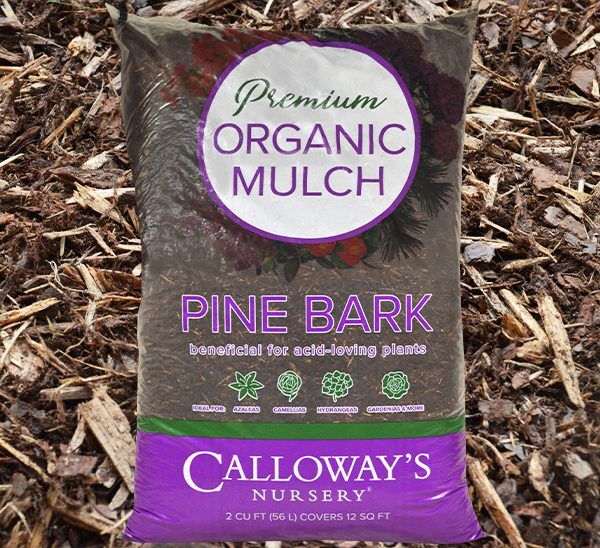 Pine Bark Mulch