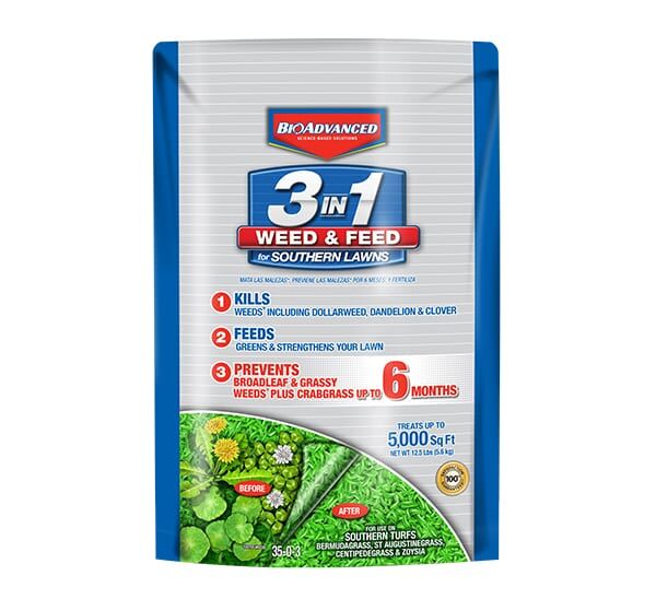 bioadvanced 3 in 1 weed and feed southern lawns