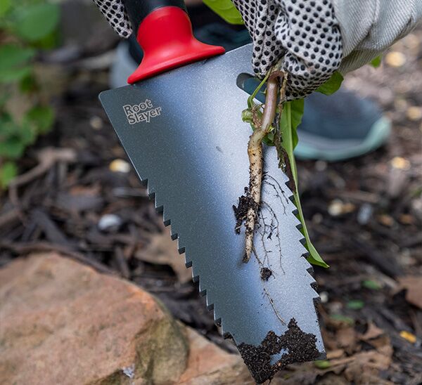 Radius Root Slayer Trowel