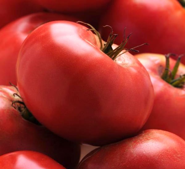 Tomato Heirloom Trio Photo 1