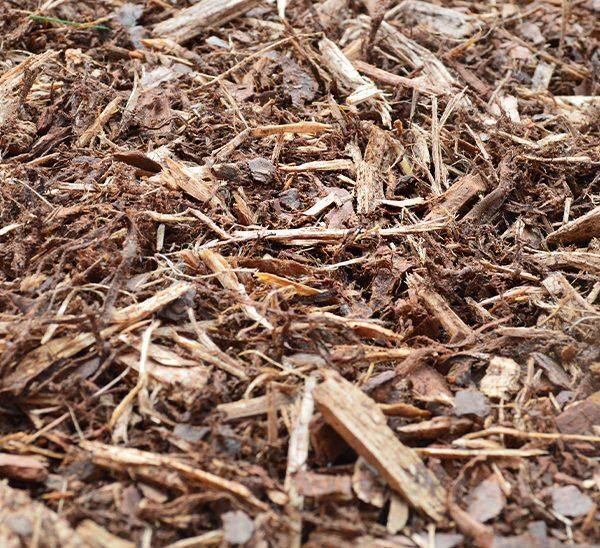 Pine Bark Mulch