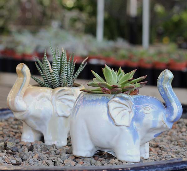 Elephant Planter Photo 1