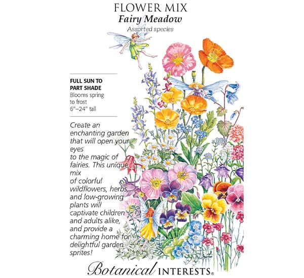 Fairy Meadow Seeds