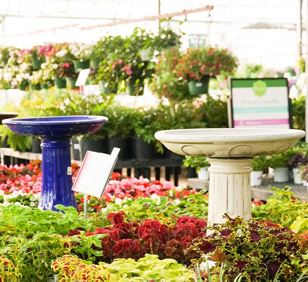 Birdbaths