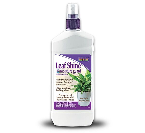 Bonide Captain Jacks Leaf Shine and Moisture Guard Spray