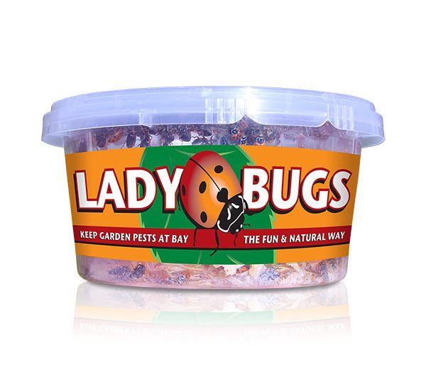 Organic Control Inc Ladybugs