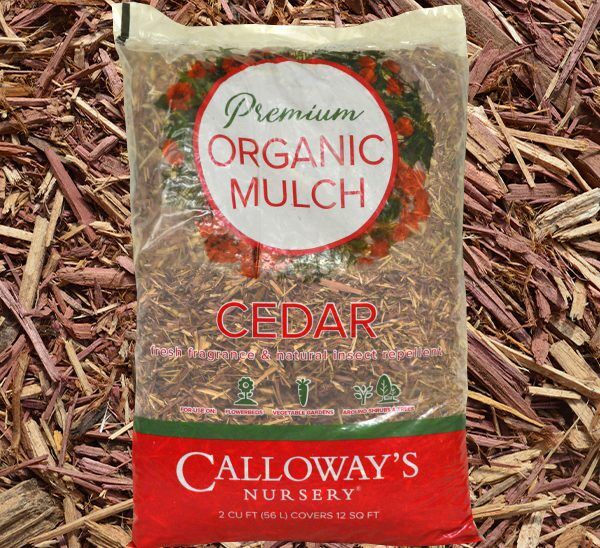 Cedar Mulch