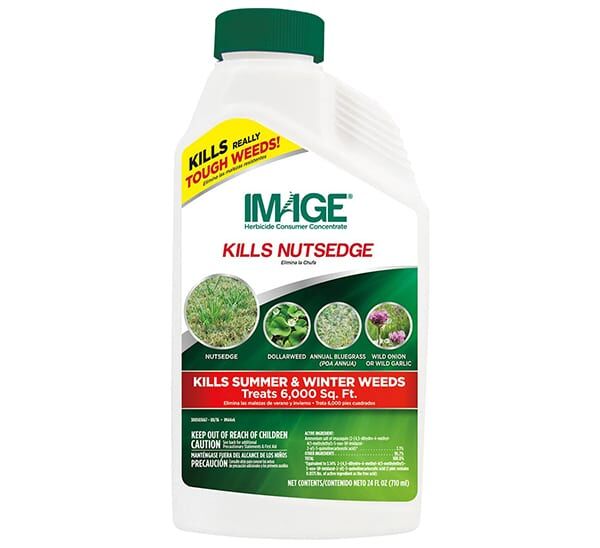 IMAGE® 24 oz. Nutsedge Killer Concentrate