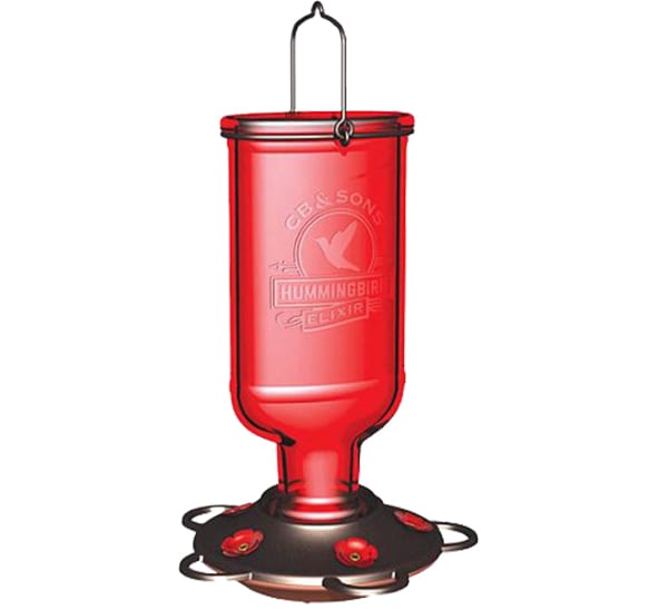 More Birds®13 Oz. Elixir Hummingbird Feeder