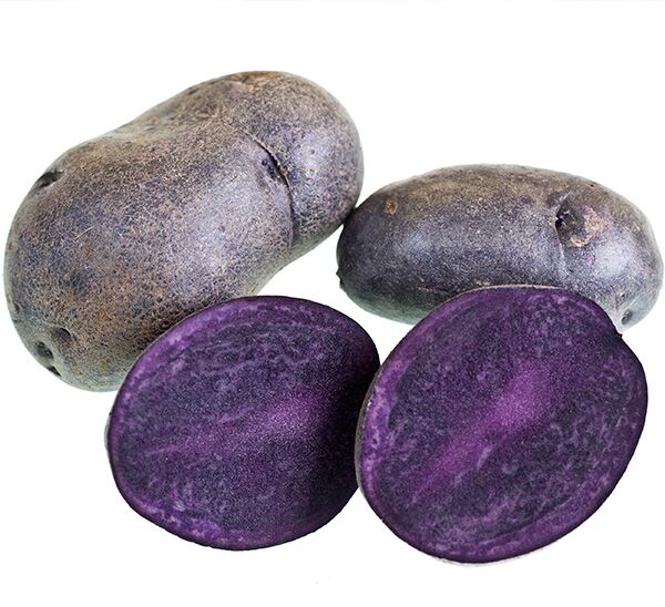 purple majesty seed potatoes