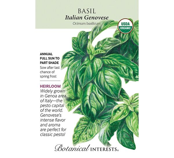 Italian Genovese Basil Seeds Photo 1