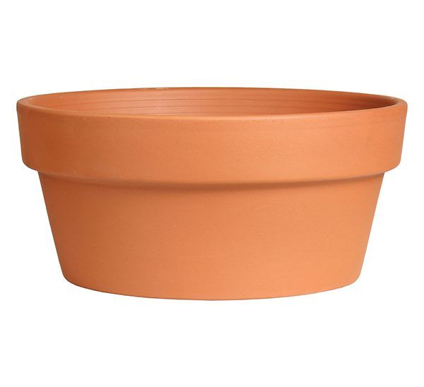 Terra Cotta Bulb Pottery Photo 1
