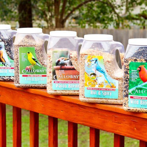 bird seed types