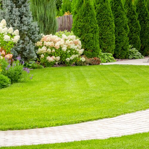 green lawn
