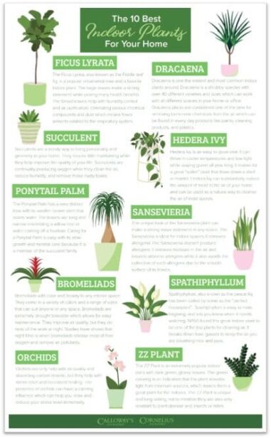 plant pot by nebl Gejst main image 1