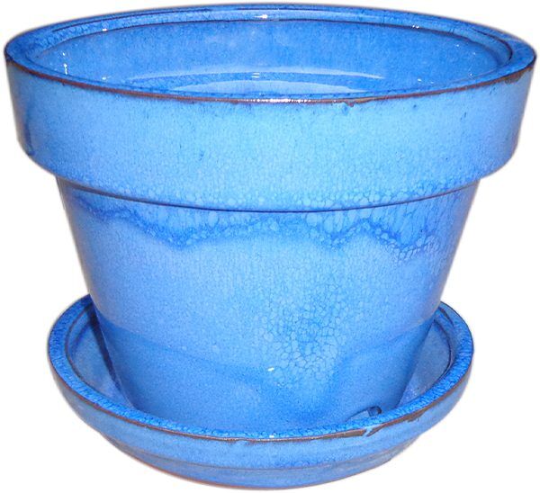 Floral Pot
