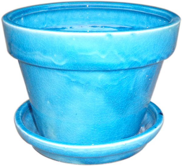 Floral Pot