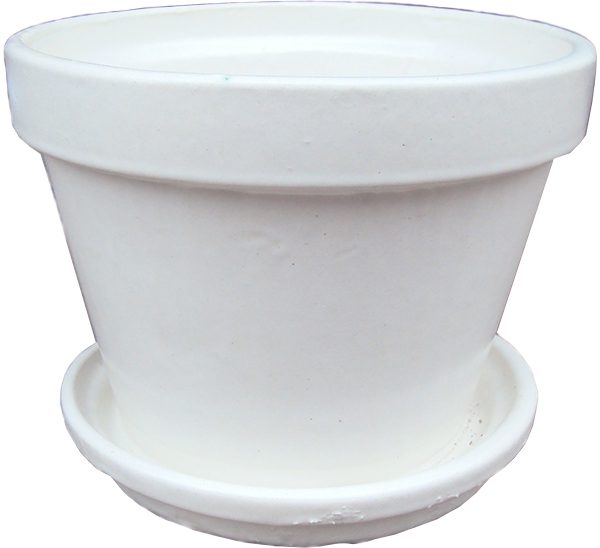 Floral Pot