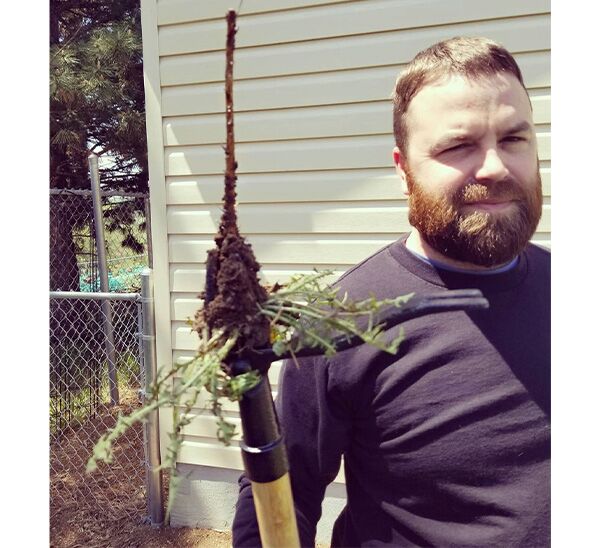 Grampa's Weeder