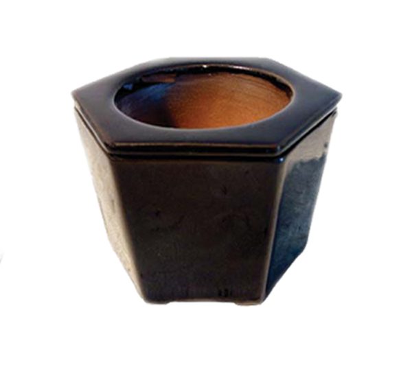 Self Watering Pot