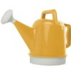 Watering Can 2.5 Gallon Photo 1