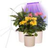 Grow Light Photo 1