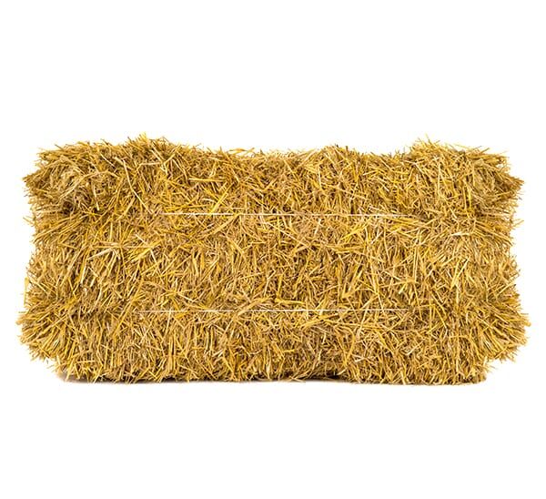 Straw Bale Medium