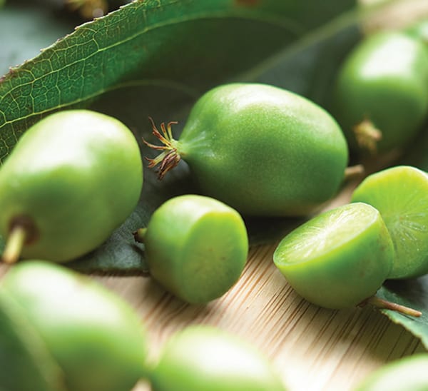 hardy issai kiwi cut on table