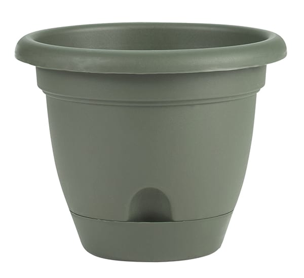 Bloem Lucca Planter Green 6 in