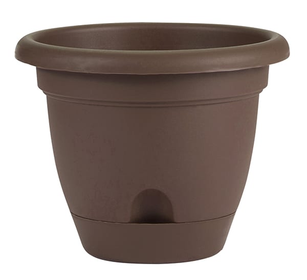 Bloem Lucca Planter Chocolate 8 in