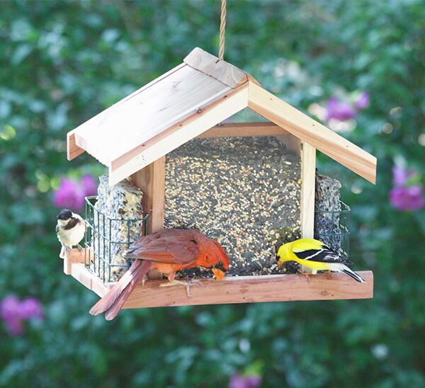 Birds eating from Perky-Pet® Deluxe Chalet Cedar Feeder