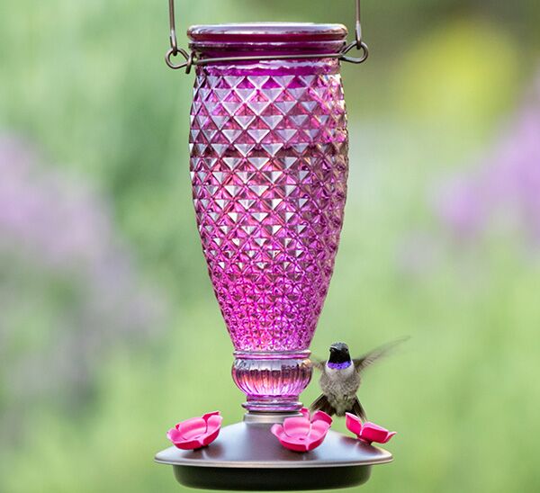 Bird flying towards Perky-Pet® Diamond Wine Top-Fill Glass Hummingbird Feeder